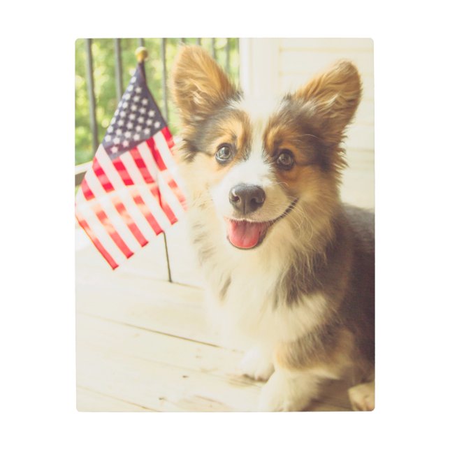 Cutest Baby Animals | American Flag Corgi Metal Print (Front)