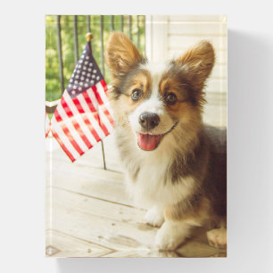 Cutest Baby Animals American Flag Corgi Paperweight