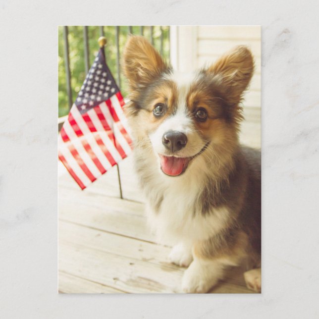 Cutest Baby Animals | American Flag Corgi Postcard (Front)