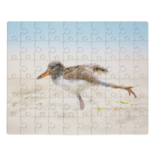 Cutest Baby Animals American Oystercatcher Chick Jigsaw Puzzle