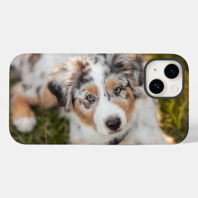 Cutest Baby Animals | Australian Shepherd Puppy Case-Mate iPhone Case (Back (Horizontal))