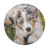 https://rlv.zcache.com/cutest_baby_animals_australian_shepherd_puppy_cutting_board-r9d31aa82385b4955a189324bbe04ce32_i98lk_8byvr_166.jpg