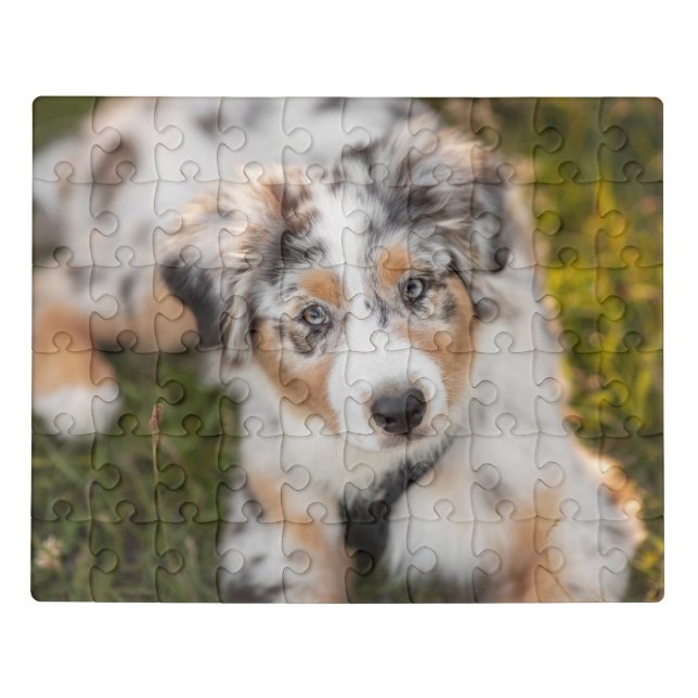 Cutest Baby Animals | Australian Shepherd Puppy Jigsaw Puzzle (Puzzle Horizontal)