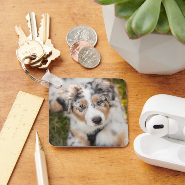 Cutest Baby Animals | Australian Shepherd Puppy Keychain (Desk)