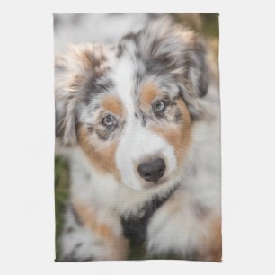 Cutest Baby Animals   Australian Shepherd Puppy Kitchen Towel