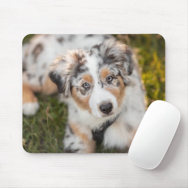 Cutest Baby Animals | Australian Shepherd Puppy Mouse Pad (With Mouse)