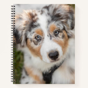 Cutest Baby Animals Australian Shepherd Puppy Notebook
