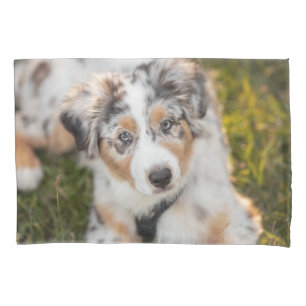 Cutest Baby Animals   Australian Shepherd Puppy Pillow Case