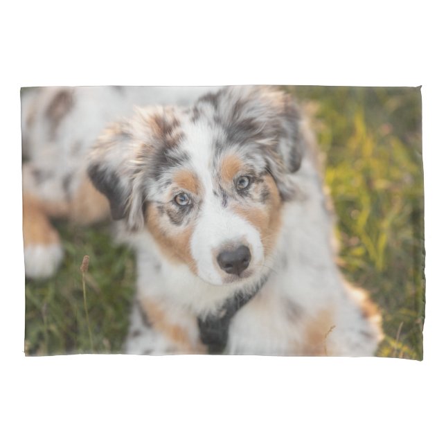 Cutest Baby Animals | Australian Shepherd Puppy Pillow Case (Front)