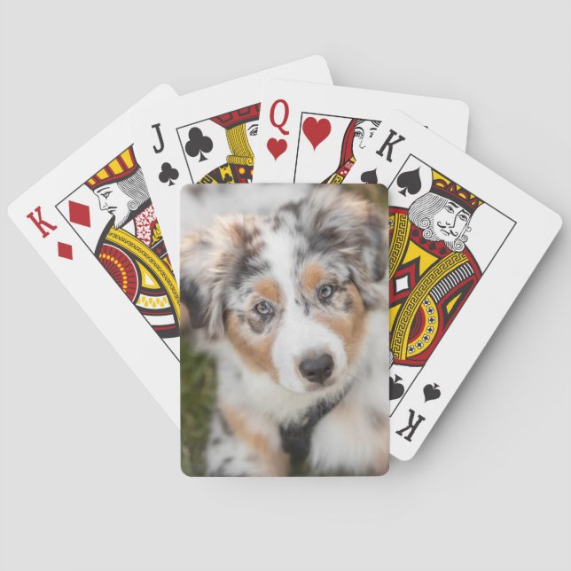 Cutest Baby Animals | Australian Shepherd Puppy Poker Cards (Back)