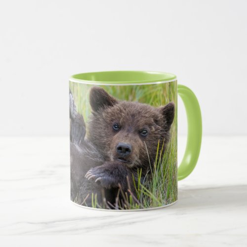 Cutest Baby Animals  Baby Brown Bear Cub Mug