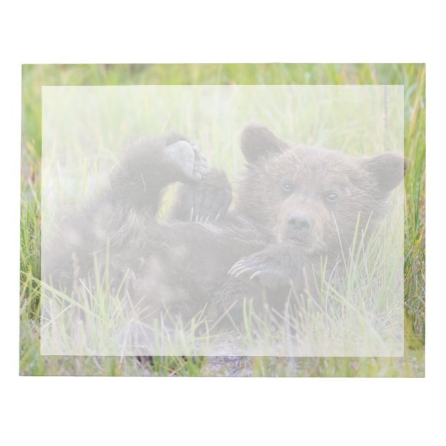 Cutest Baby Animals | Baby Brown Bear Cub Notepad (Front)