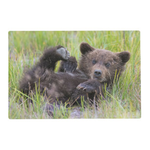 Cutest Baby Animals   Baby Brown Bear Cub Placemat