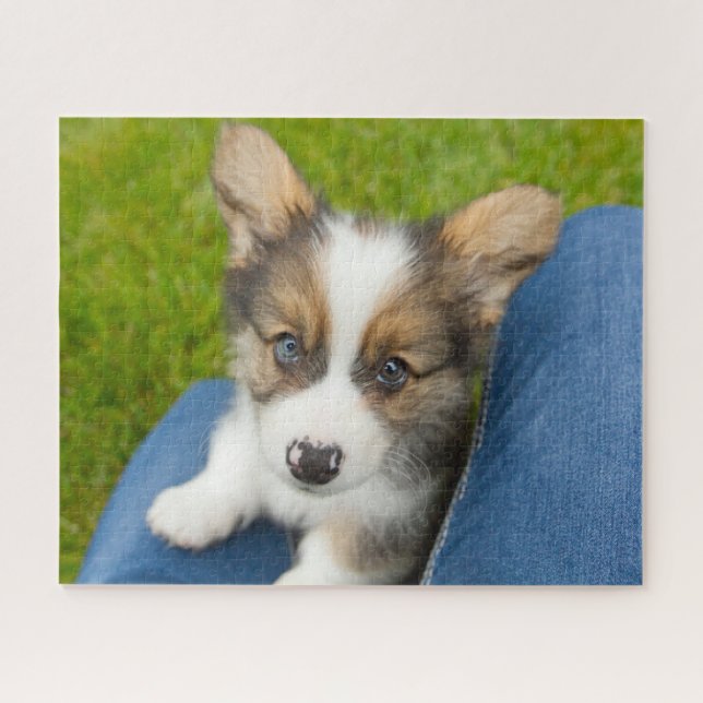Cutest Baby Animals | Baby Corgi in My Lap Jigsaw Puzzle (Horizontal)