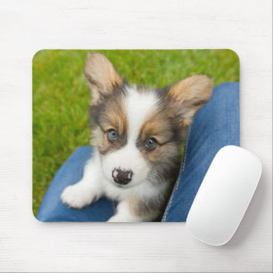 Cutest Baby Animals Baby Corgi in My Lap Mouse Pad