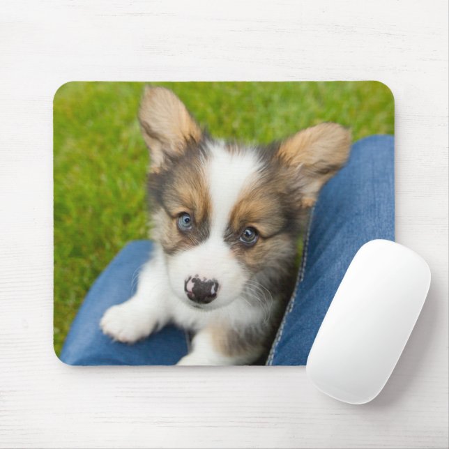 Cutest Baby Animals | Baby Corgi in My Lap Mouse Pad (With Mouse)