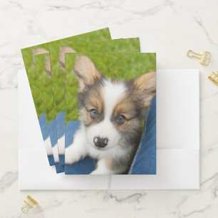 Cutest Baby Animals Baby Corgi in My Lap Pocket Folder