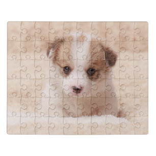 Cutest Baby Animals Baby Corgi Jigsaw Puzzle
