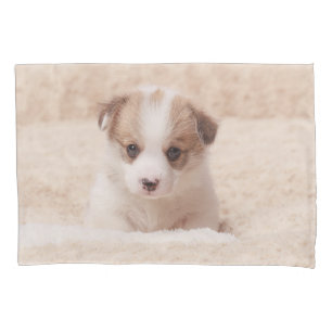 Cutest Baby Animals Baby Corgi Pillow Case