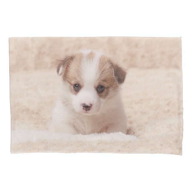 Cutest Baby Animals | Baby Corgi Pillow Case (Front)