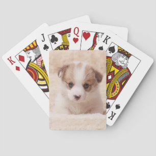 Cutest Baby Animals Baby Corgi Poker Cards