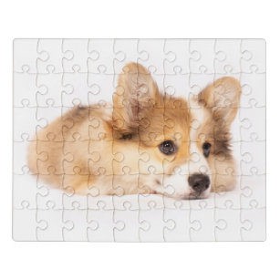 Pembroke Welsh Corgi dog Jigsaw Puzzle for Sale by savousepate