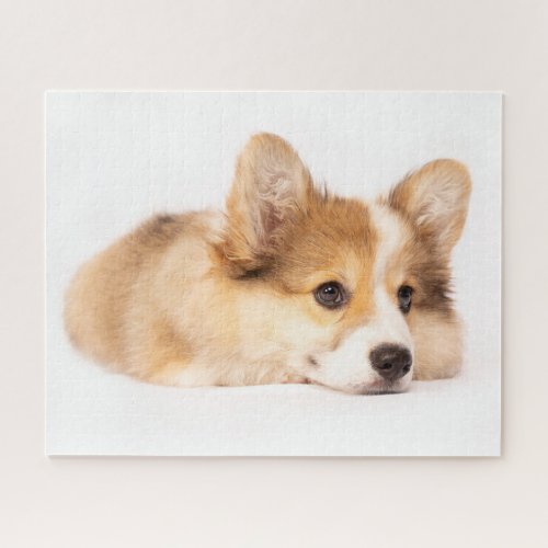 Cutest Baby Animals  Baby Corgi Puppy Portrait Jigsaw Puzzle