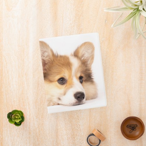 Cutest Baby Animals  Baby Corgi Puppy Portrait Mini Binder