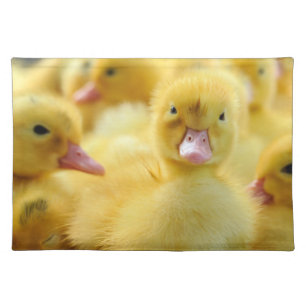 Cutest Baby Animals Baby Duck Group Cloth Placemat