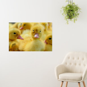 Cutest Baby Animals   Baby Duck Group Foam Board