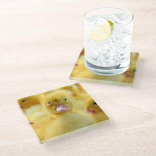 Cutest Baby Animals Baby Duck Group Glass Coaster