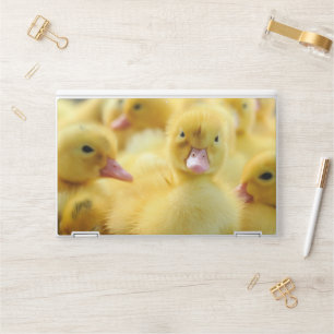 Cutest Baby Animals   Baby Duck Group HP Laptop Skin