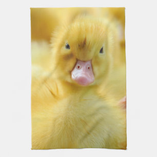 Cutest Baby Animals   Baby Duck Group Kitchen Towel