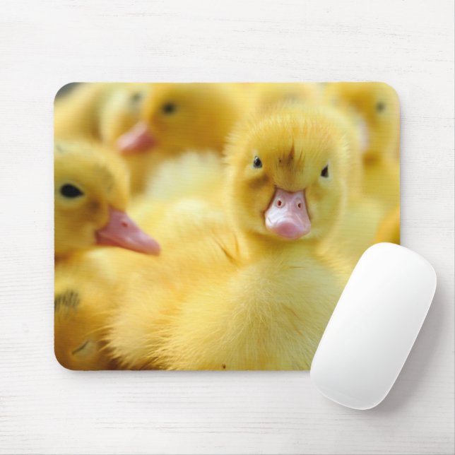 Cutest Baby Animals | Baby Duck Group Mouse Pad (With Mouse)