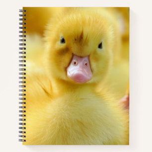 Cutest Baby Animals   Baby Duck Group Notebook