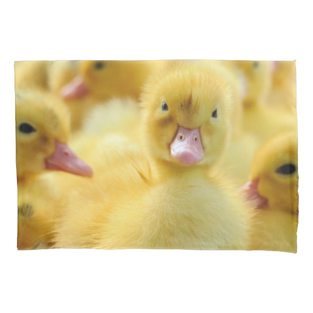 Cutest Baby Animals | Baby Duck Group Pillow Case (Front)