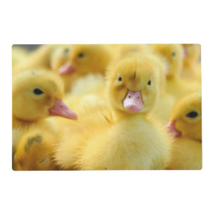 Cutest Baby Animals Baby Duck Group Placemat