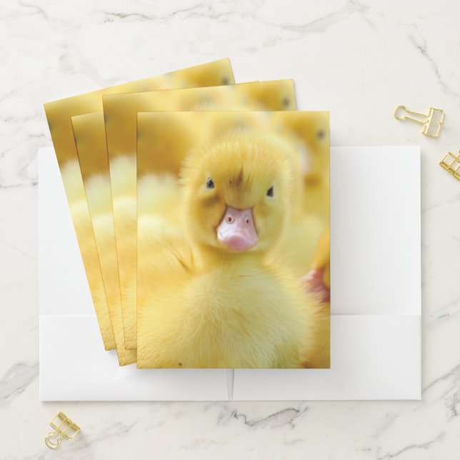 Cutest Baby Animals | Baby Duck Group Pocket Folder (In Situ)