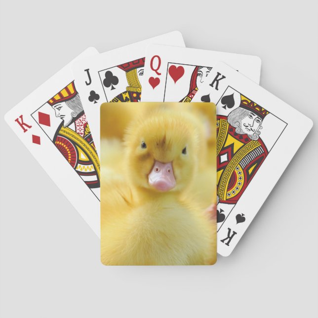 Cutest Baby Animals | Baby Duck Group Poker Cards (Back)