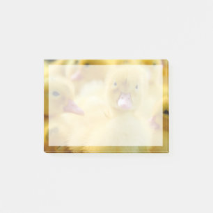 Cutest Baby Animals Baby Duck Group Post-it Notes