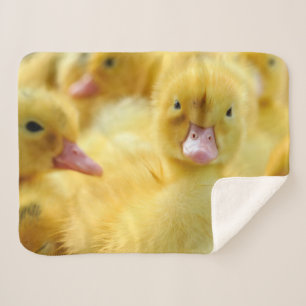 Cutest Baby Animals Baby Duck Group Sherpa Blanket