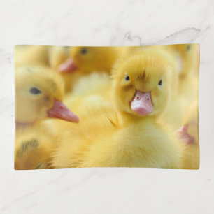 Cutest Baby Animals Baby Duck Group Trinket Tray