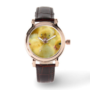 Cutest Baby Animals Baby Duck Group Watch