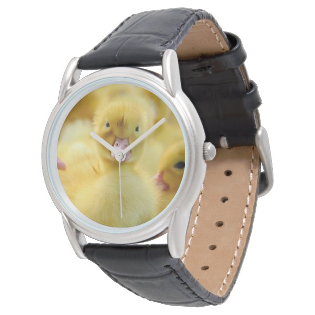 Cutest Baby Animals | Baby Duck Group Watch (Angled)
