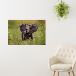 Cutest Baby Animals Baby Elephant Kenya Africa Foam Board