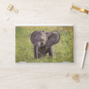 Cutest Baby Animals   Baby Elephant Kenya Africa HP Laptop Skin