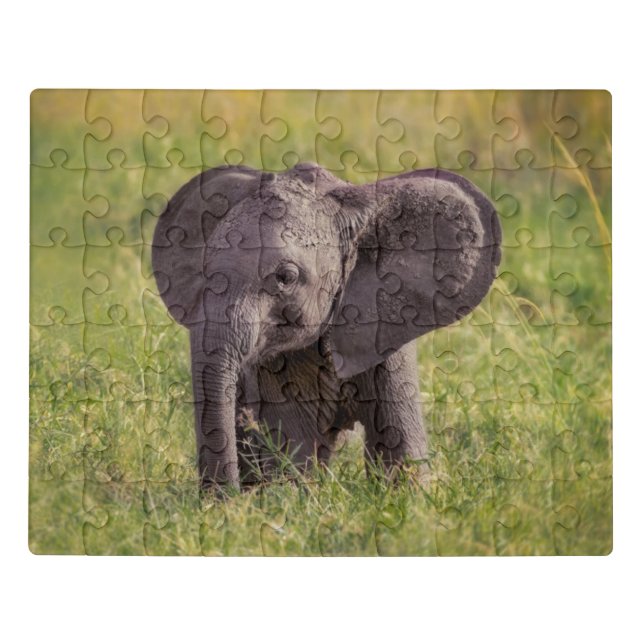 Cutest Baby Animals | Baby Elephant Kenya Africa Jigsaw Puzzle (Puzzle Horizontal)