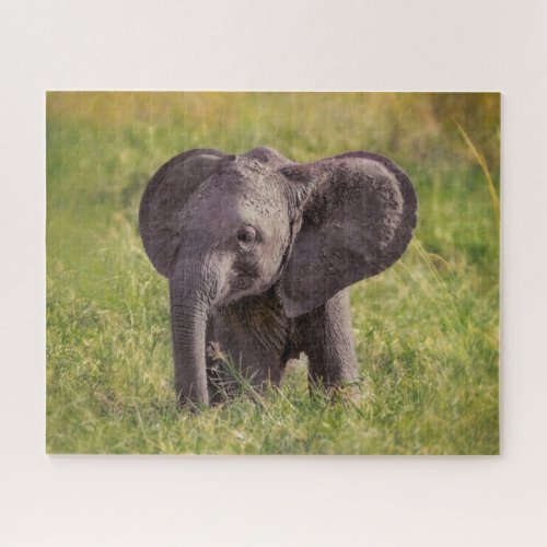 Cutest Baby Animals  Baby Elephant Kenya Africa Jigsaw Puzzle