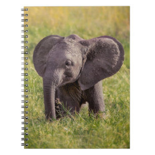 Cutest Baby Animals Baby Elephant Kenya Africa Notebook