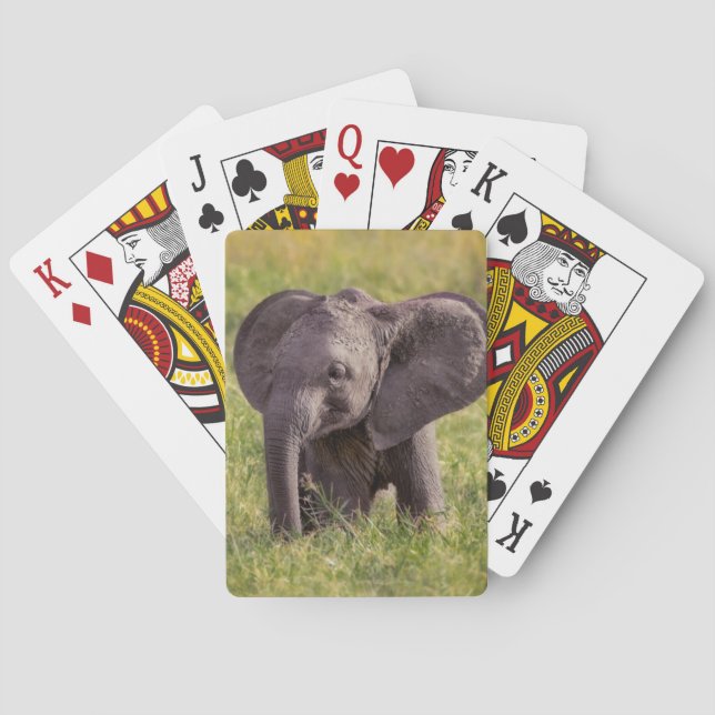 Cutest Baby Animals | Baby Elephant Kenya Africa Poker Cards (Back)